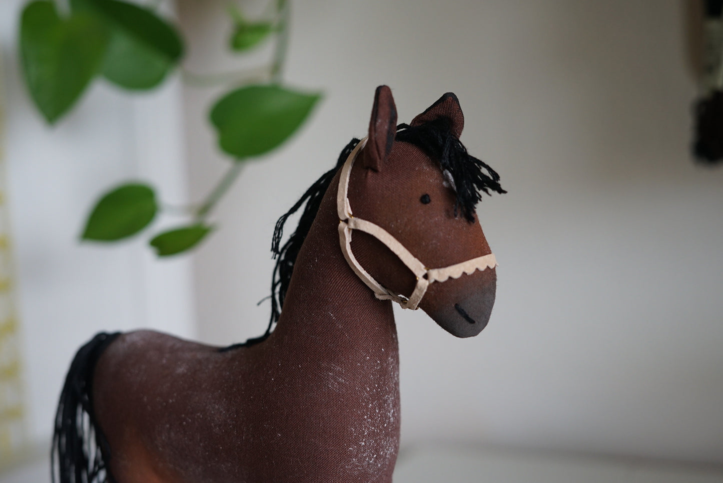 Leather Halter